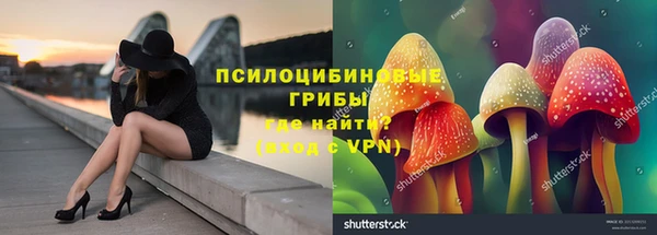 бутират Белокуриха