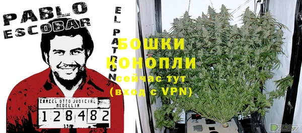 бутират Белокуриха