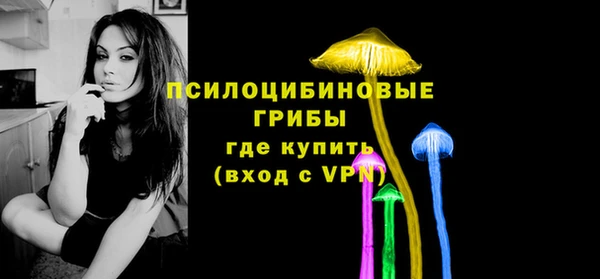 бутират Белокуриха