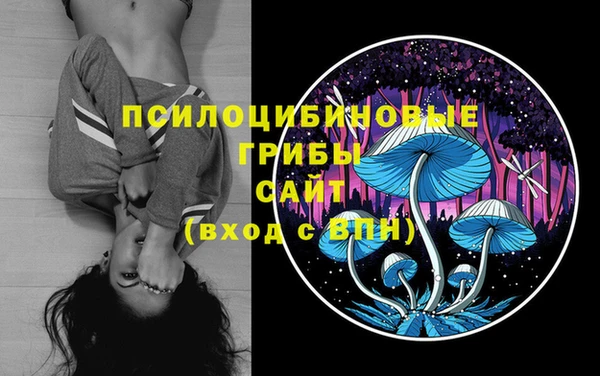бутират Белокуриха