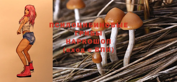 бутират Белокуриха