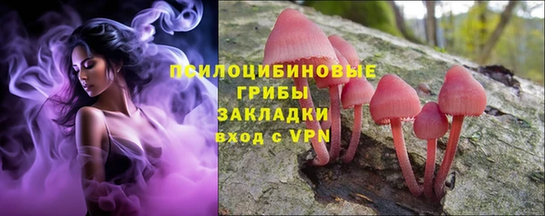 стаф Белоозёрский