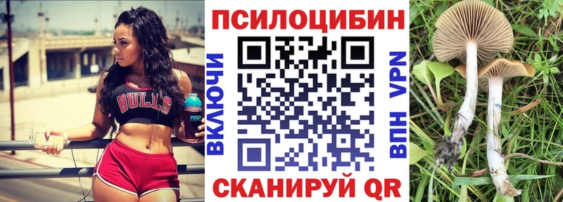 Галлюциногенные грибы Psilocybine cubensis  Кировград 